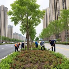2026世界杯官网 无锡市绿化工程